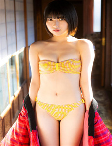 电视剧绣娘兰馨