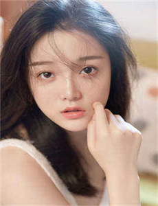 智龙迷城