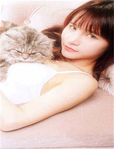 鹰眼美剧