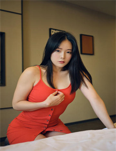 x女特工剧情分集介绍